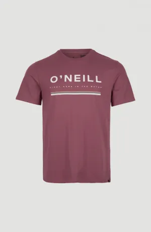 Arrowhead T-Shirt | Nocturne