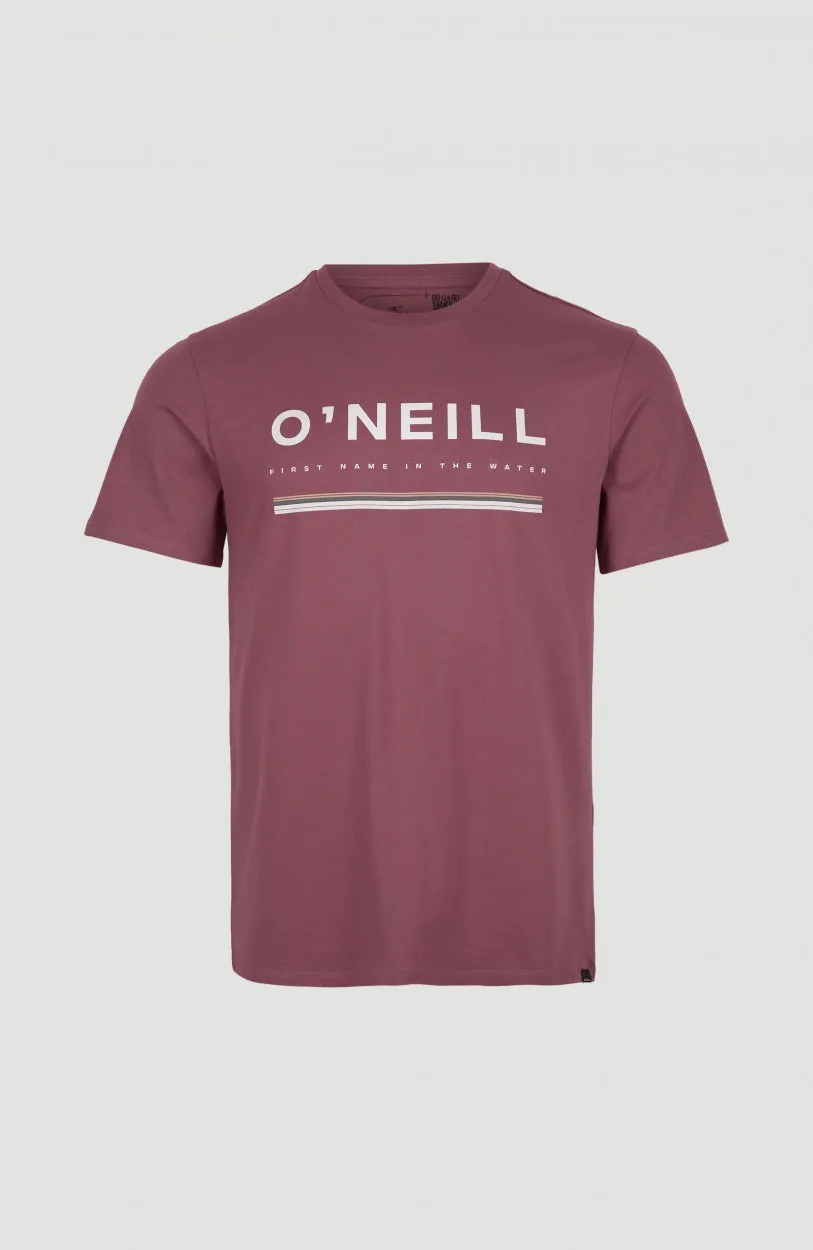 Arrowhead T-Shirt | Nocturne