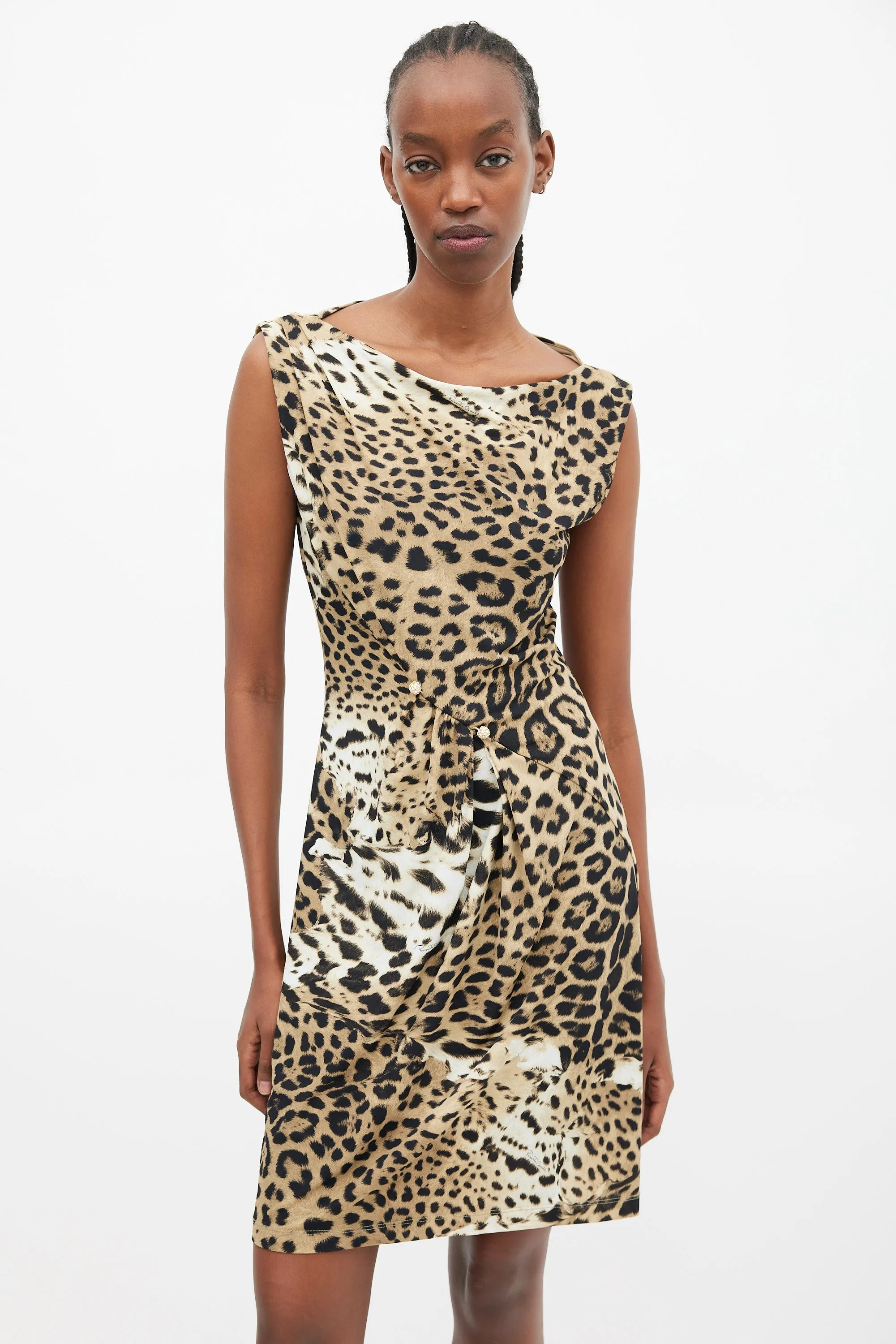 Beige & Black Printed Pinned Dress