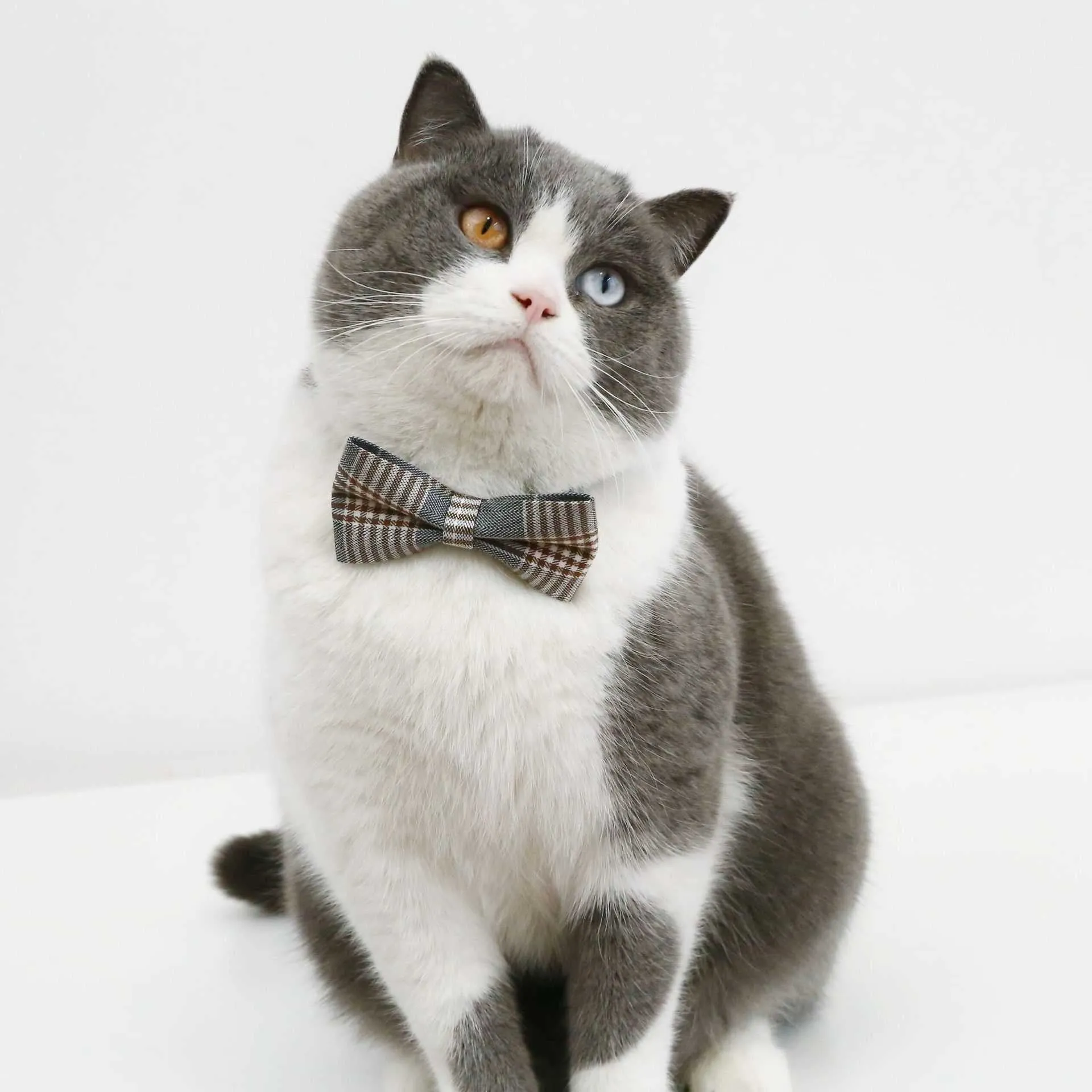 Cat Formal Bow Tie - Grey Plaid