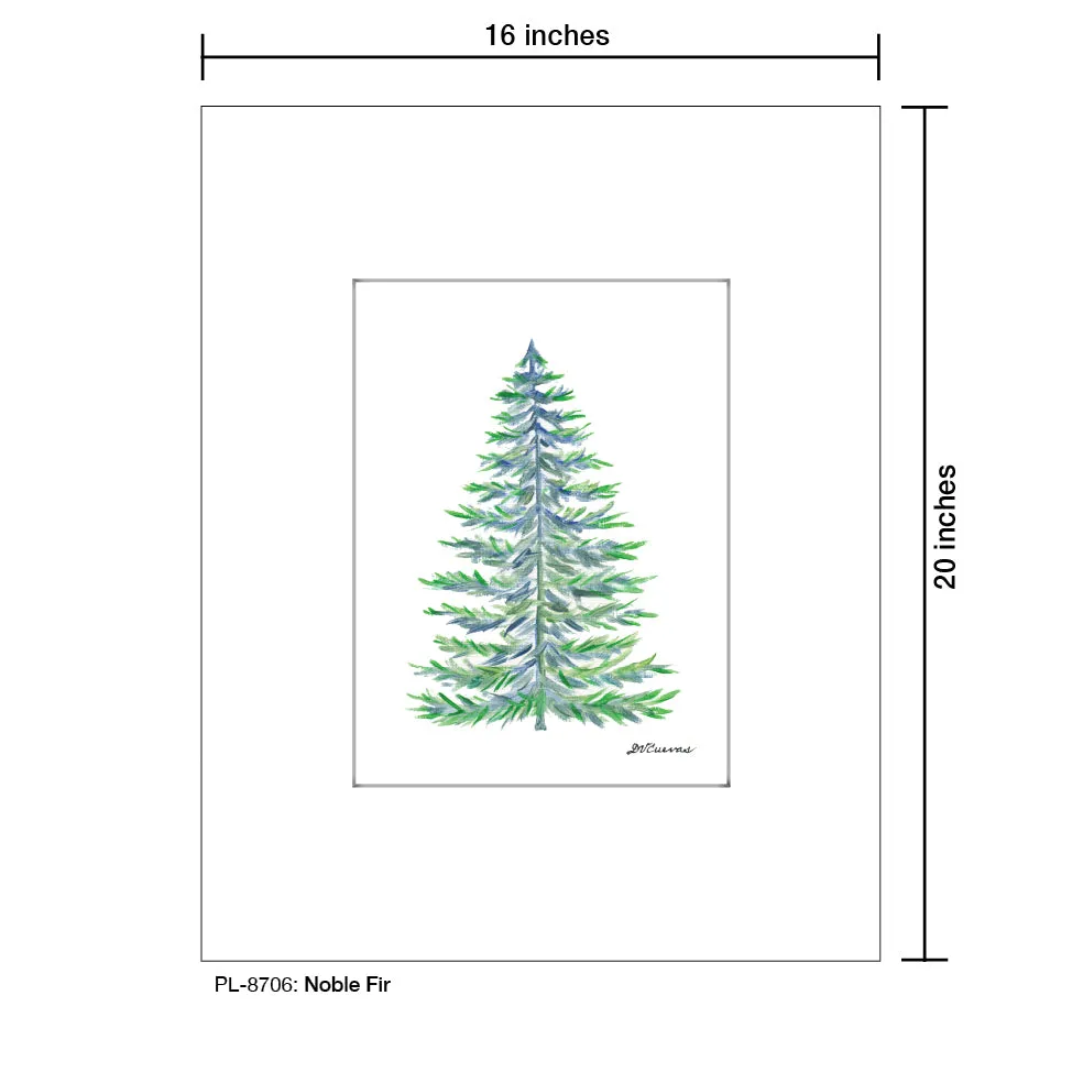Noble Fir, Print (#8706)